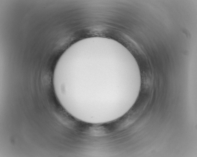 X0000115420603200911241349