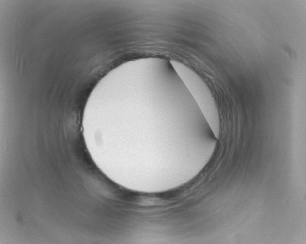 X0000115420605200911241349