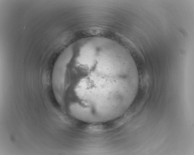 X0000115420606200911241349