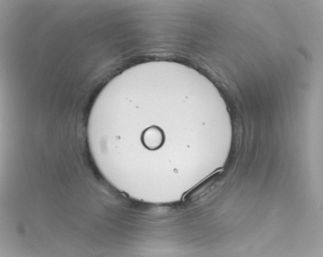 X0000115420609200911241349