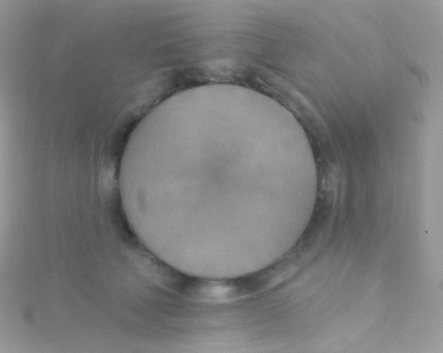 X0000115420610200911241349