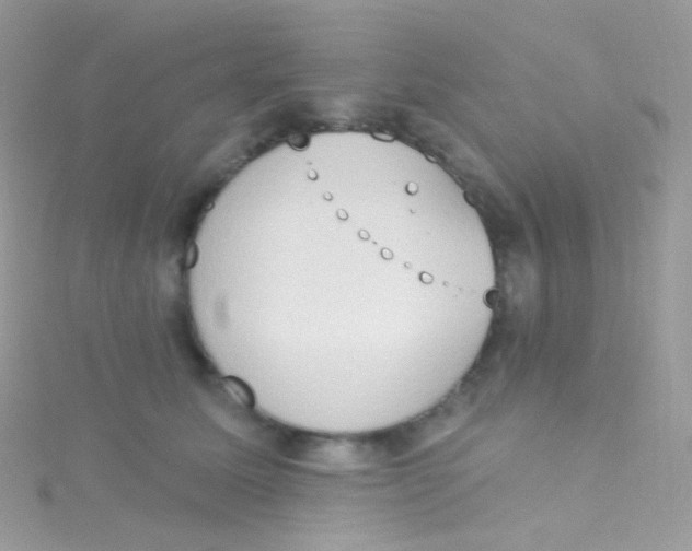 X0000115420611200911241349