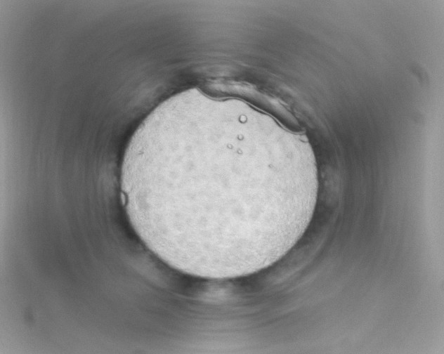 X0000115420612200911241349