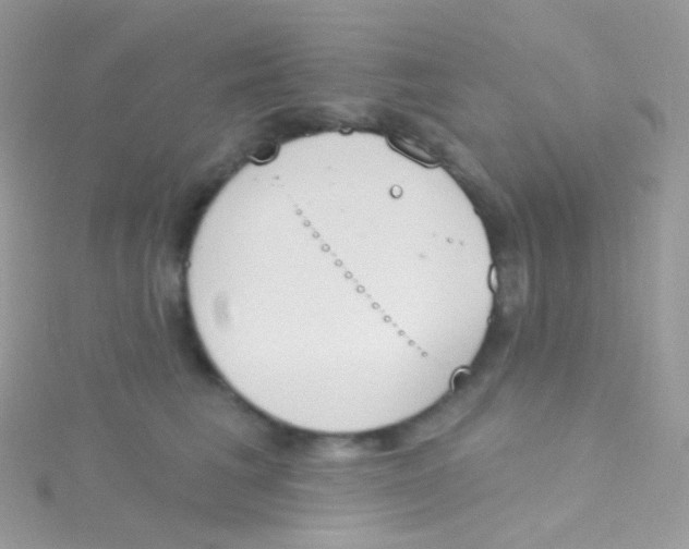 X0000115420613200911241349