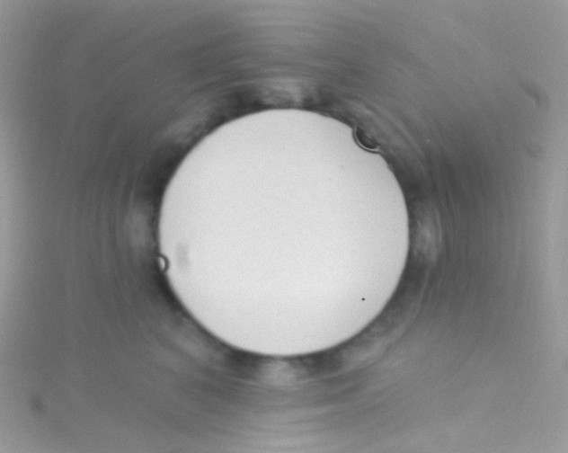 X0000115420616200911241349