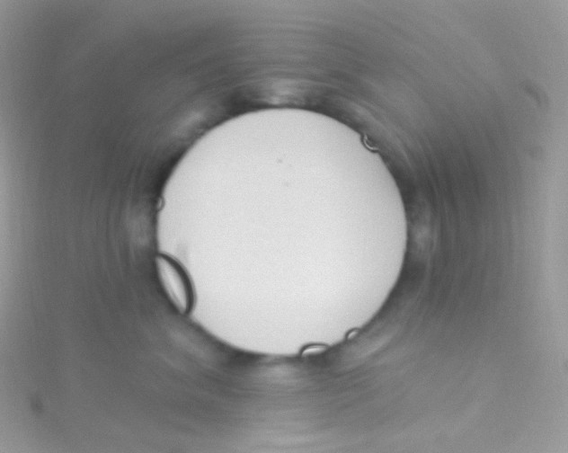 X0000115420620200911241349