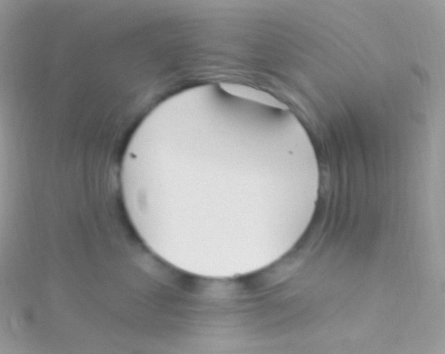 X0000115420621200911241349