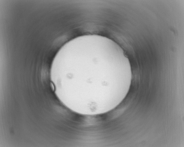 X0000115420623200911241349