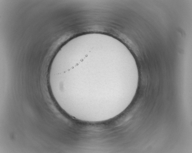 X0000115420625200911241349