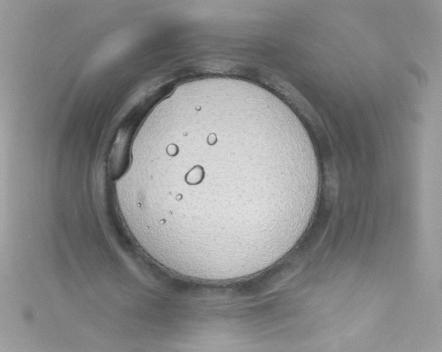 X0000115420626200911241349