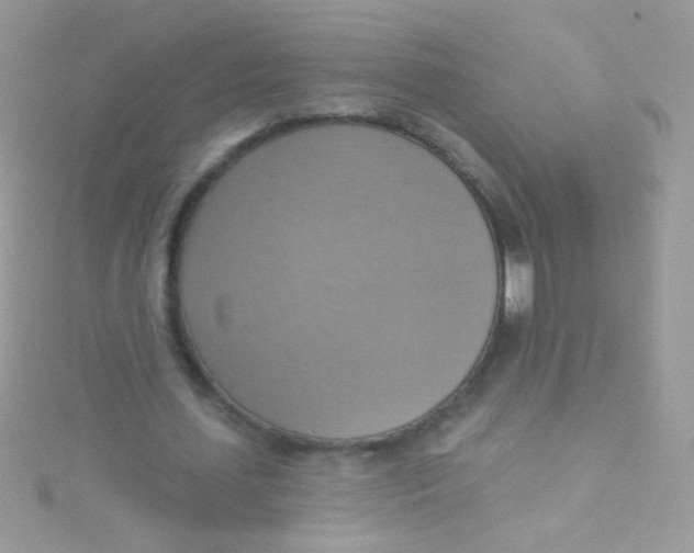 X0000115420627200911241349