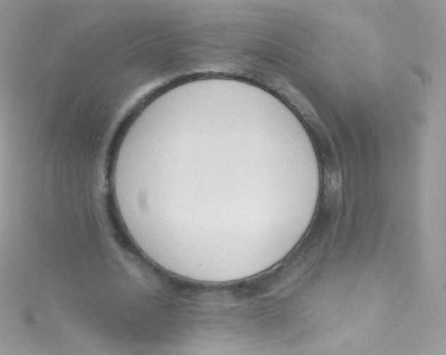 X0000115420628200911241349