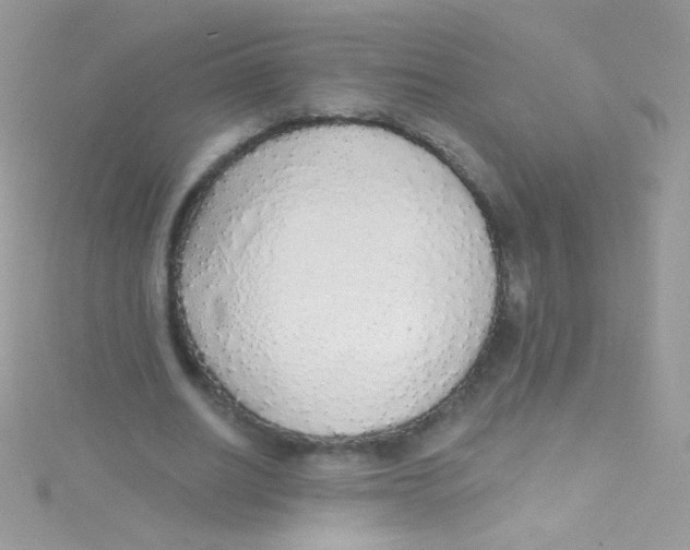 X0000115420630200911241349