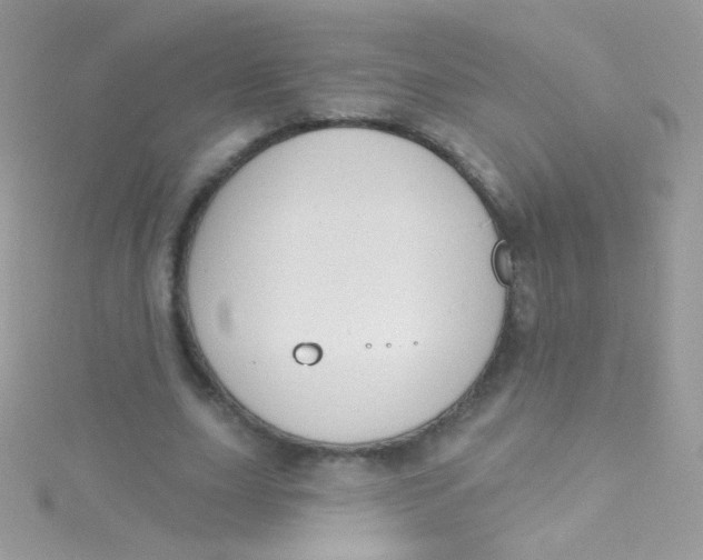 X0000115420631200911241349