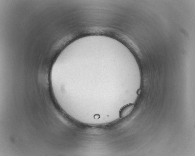 X0000115420633200911241349