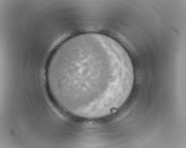 X0000115420634200911241349