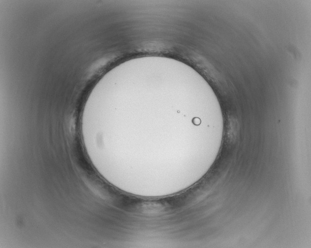 X0000115420636200911241349