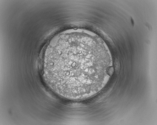 X0000115420637200911241349