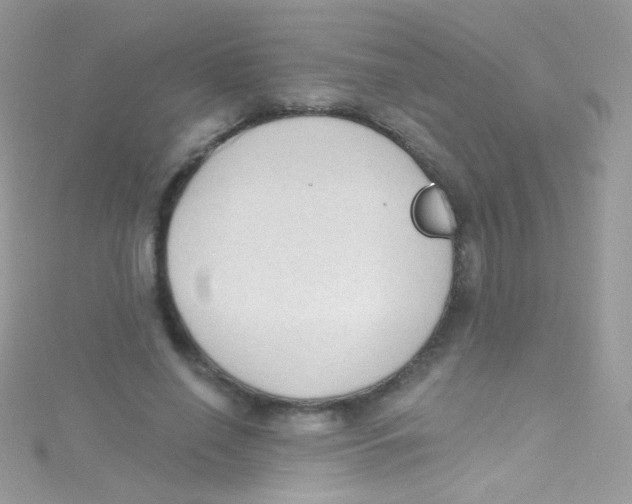 X0000115420638200911241349