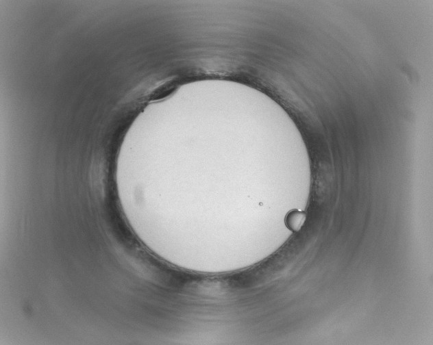 X0000115420639200911241349