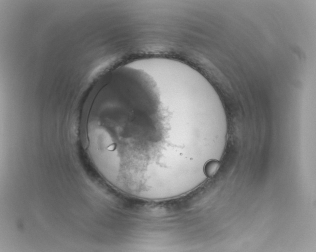 X0000115420640200911241349