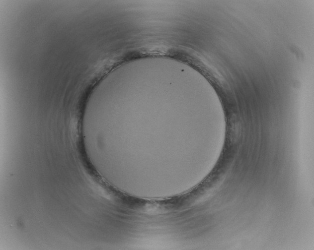 X0000115420641200911241349