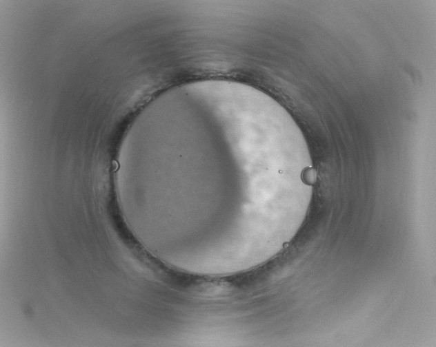 X0000115420642200911241349