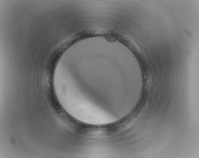 X0000115420643200911241349