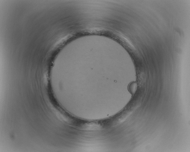 X0000115420644200911241349