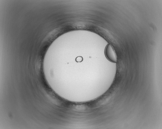 X0000115420645200911241349