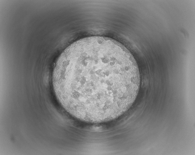 X0000115420647200911241349