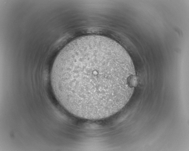 X0000115420648200911241349