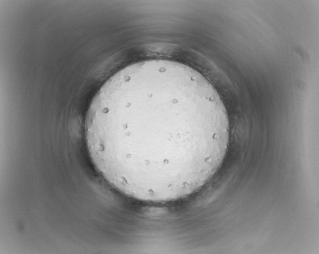 X0000115420649200911241349