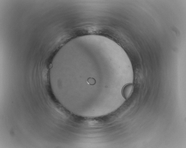 X0000115420650200911241349