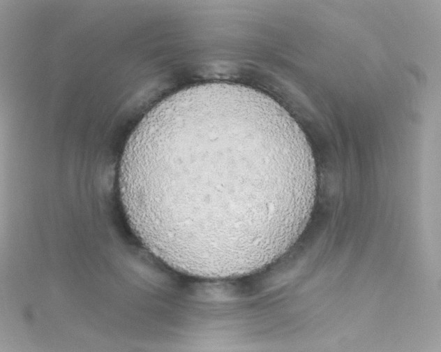 X0000115420652200911241349