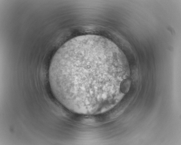 X0000115420653200911241349