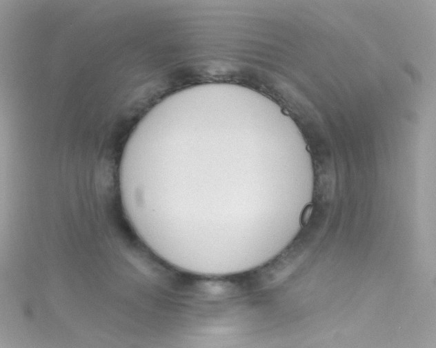 X0000115420654200911241349