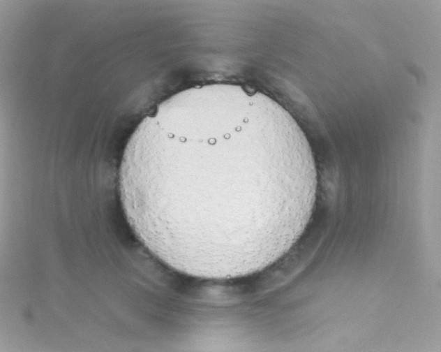 X0000115420657200911241349