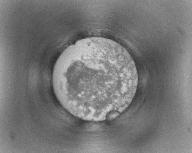 X0000115420661200911241349