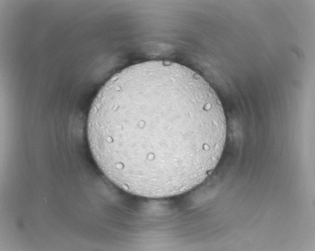 X0000115420664200911241349