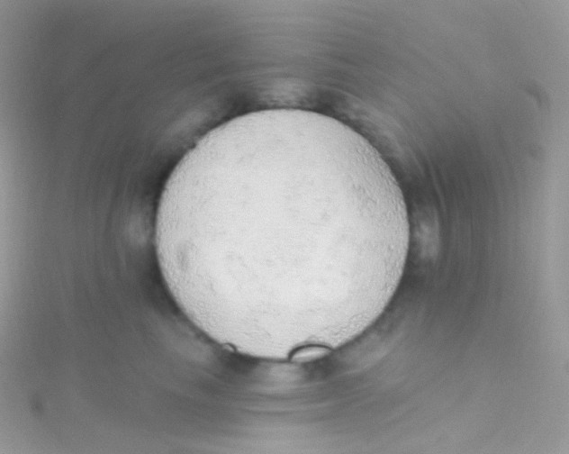 X0000115420665200911241349