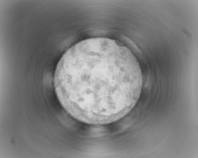 X0000115420669200911241349