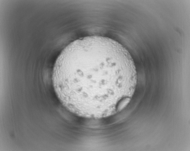 X0000115420671200911241349