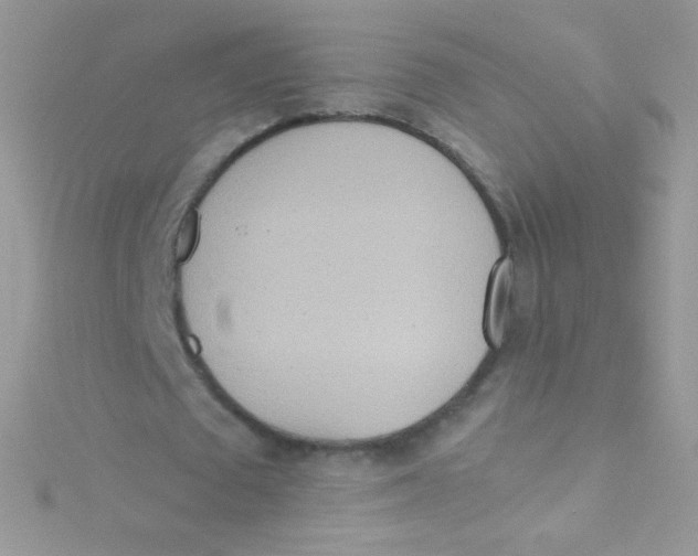 X0000115420673200911241349