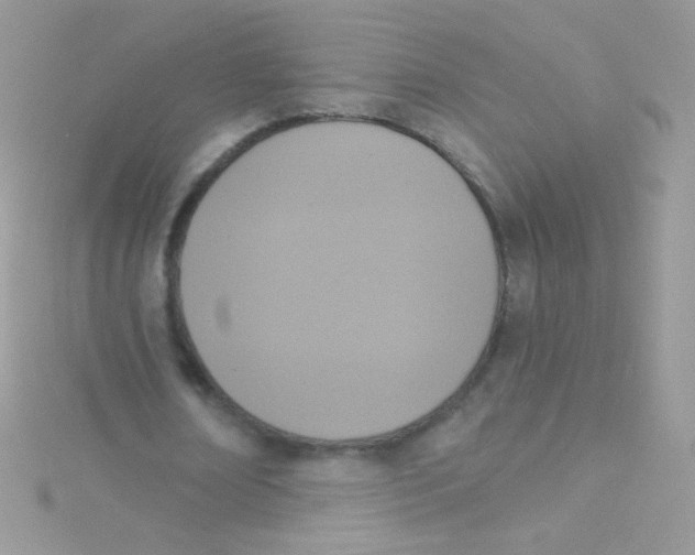 X0000115420674200911241349