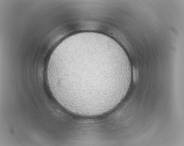 X0000115420675200911241349