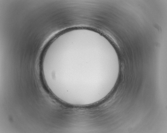 X0000115420676200911241349