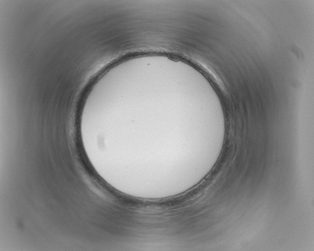 X0000115420677200911241349