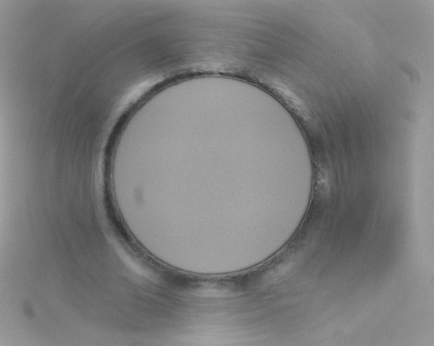 X0000115420678200911241348