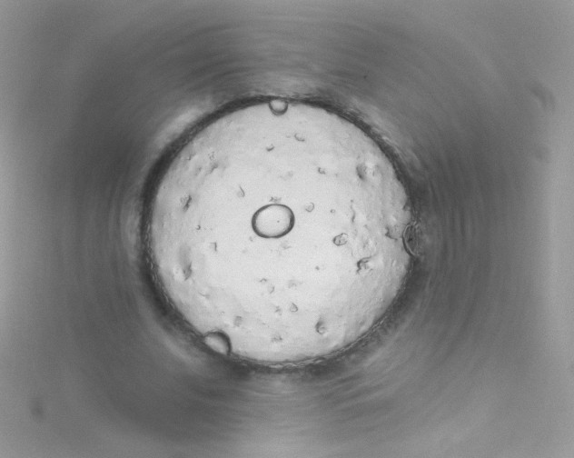 X0000115420679200911241348